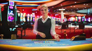 Steps to Play Book of Gold Slot on bd567 Mobile – From Registration to Your First Spin